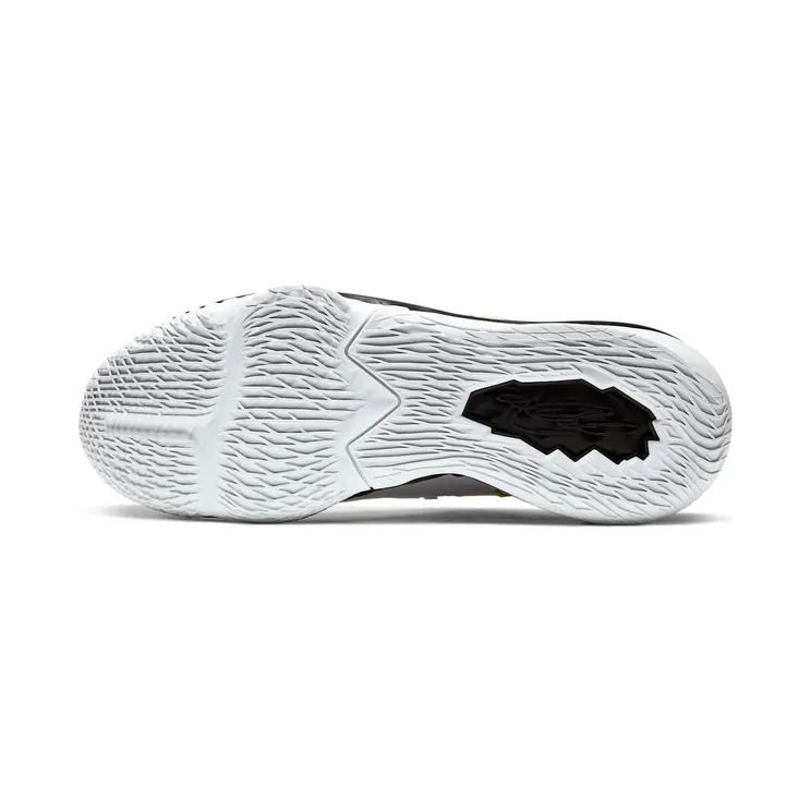 nike-lebron-17 CD5007-101