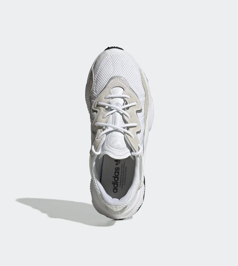 adidas-x-raf-simons-ozweego EE6464