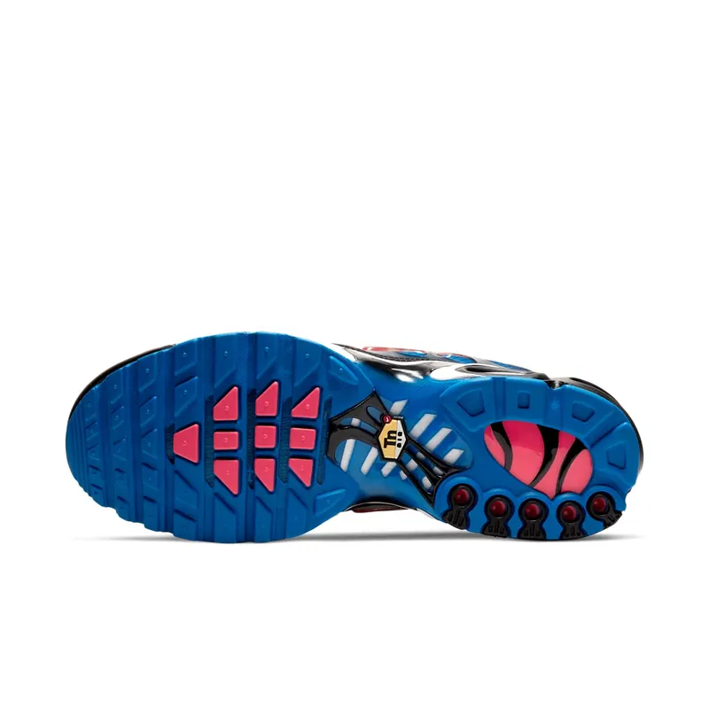 Nike Air Max Plus Time Capsule (CT1618-400)