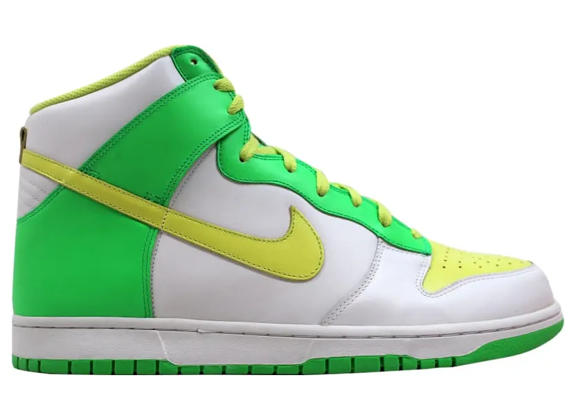 nike-dunk 309432-171