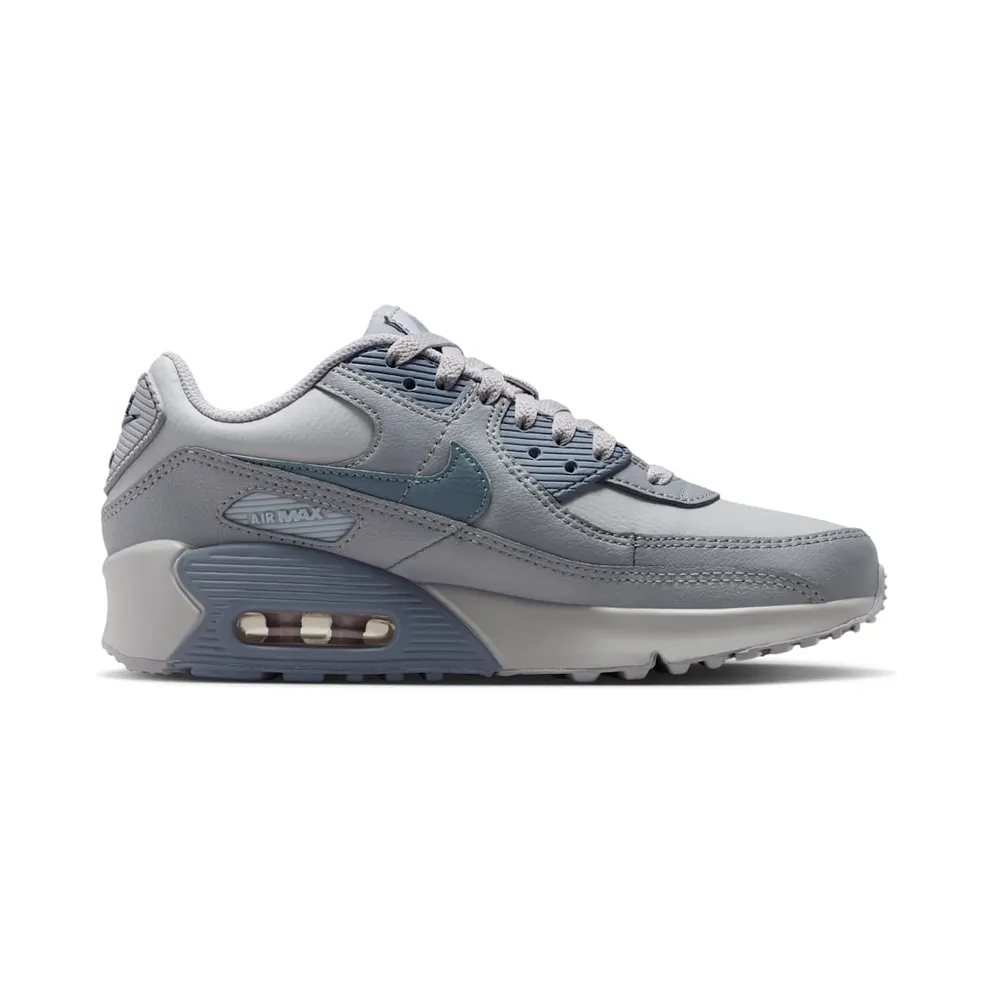 Nike Air Max 90 LTR Wolf Grey Stealth Armory Blue (CD6864-032)
