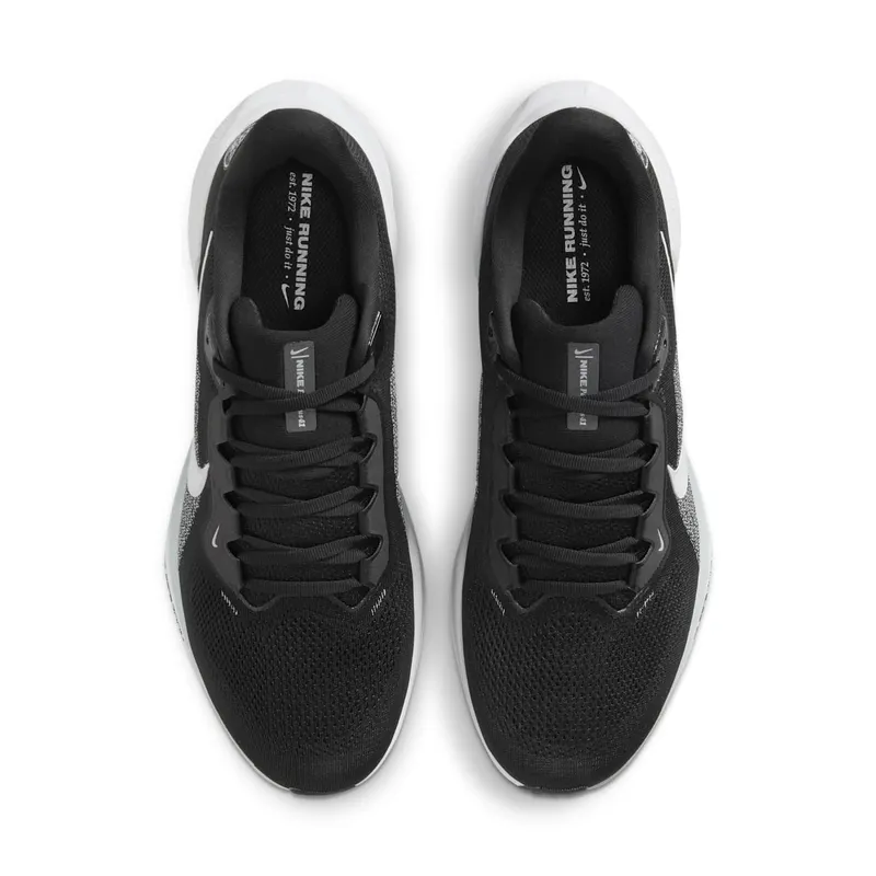 Nike Air Zoom Pegasus 41 Las Vegas Raiders (2025) (IB3201-001)