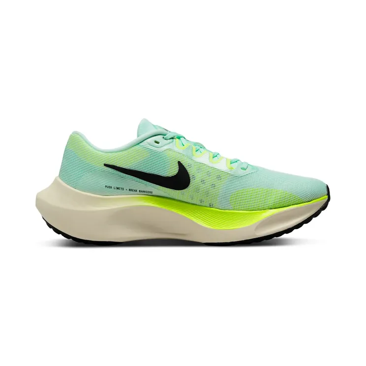 nike-zoom DM8968-300