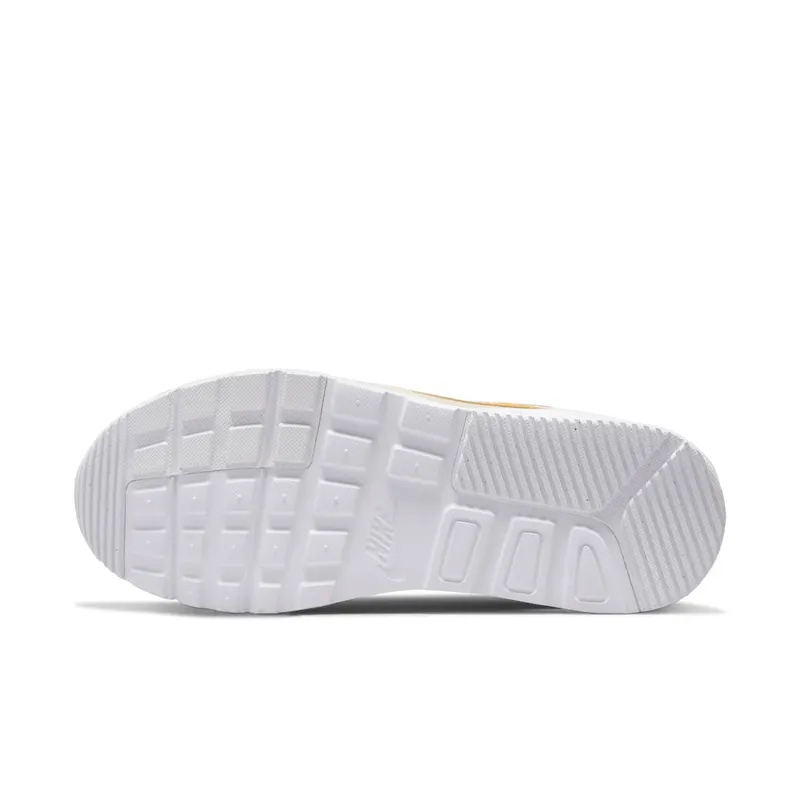 Nike Air Max SC Grey (CW4554-004)