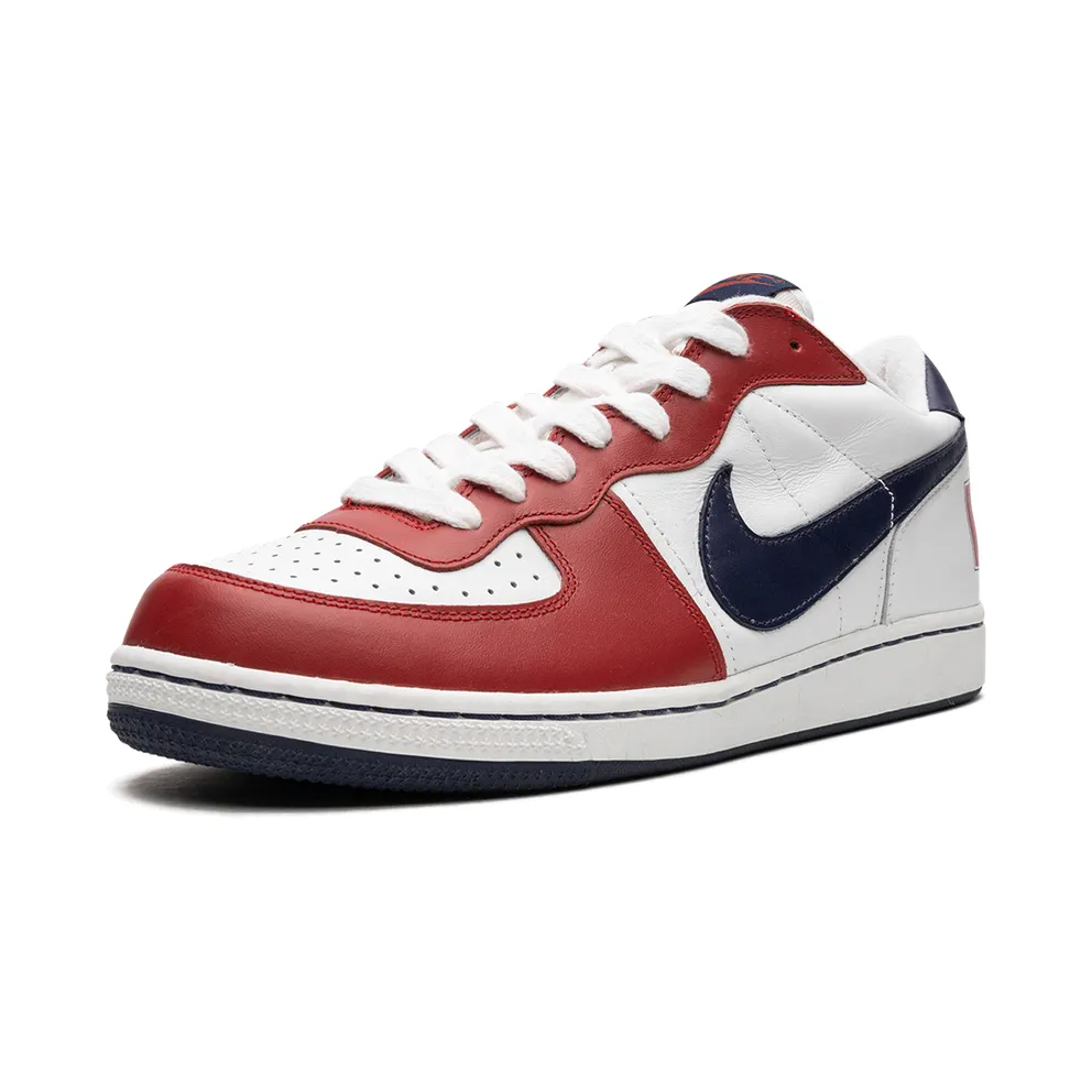 Nike Terminator Low “Olympics” (309436-142)