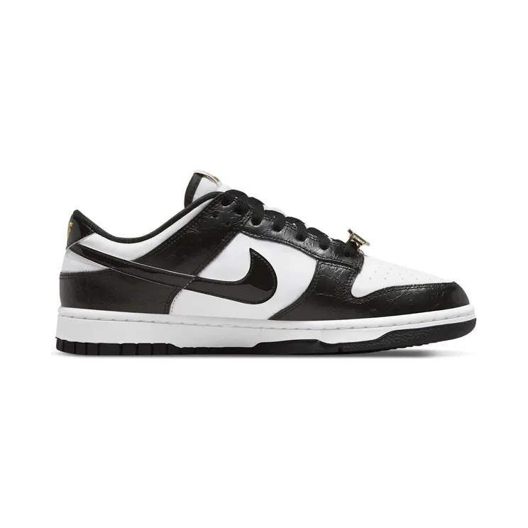 nike-dunk DR9511-100
