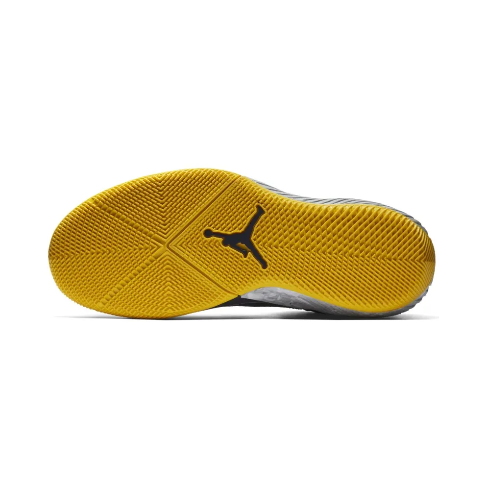 Jordan Why Not Zer0.1 Michigan College Navy/Amarillo-White (AA2510-405)