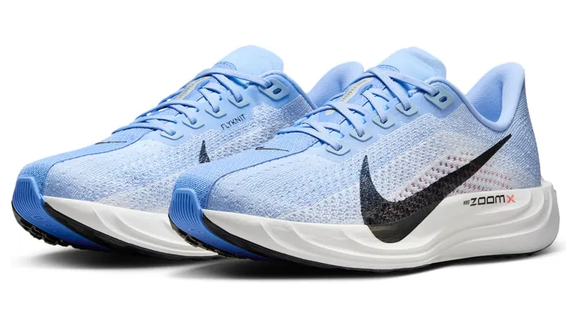 nike-air-pegasus FQ7261-402