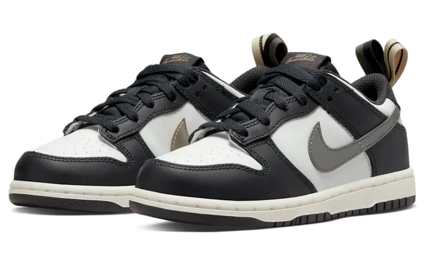 nike-dunk DR6918-001