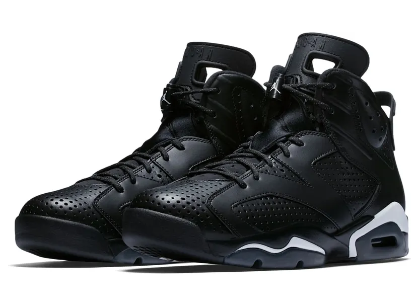 air-jordan-6 384664-020
