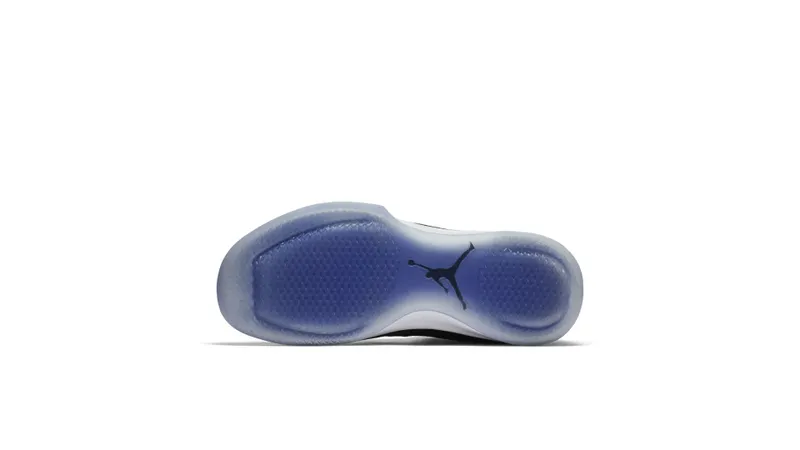 Jordan XXX1 Space Jam Black/Dark Concord-White (845037-002)
