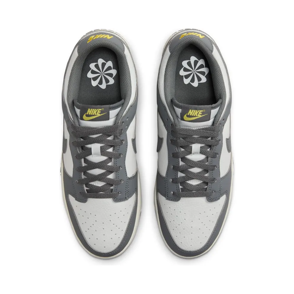 Nike Dunk Low Next Nature Iron Grey (FZ4621-001)