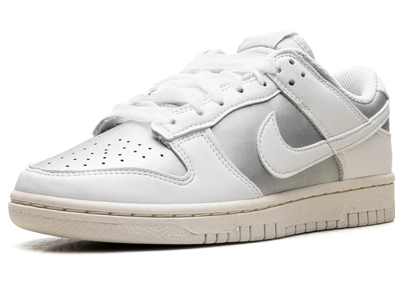 nike-dunk IB7311-001