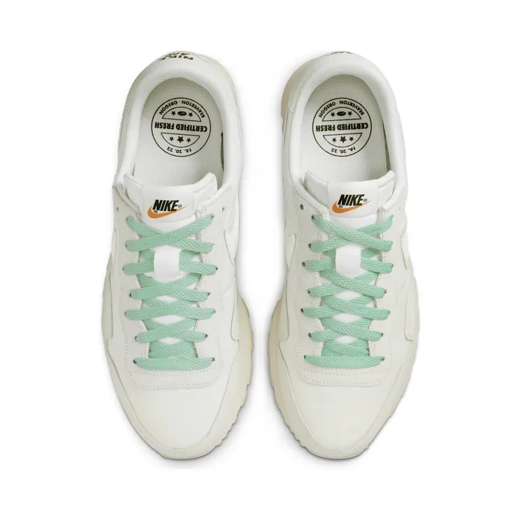 nike-air-pegasus DV0432-100