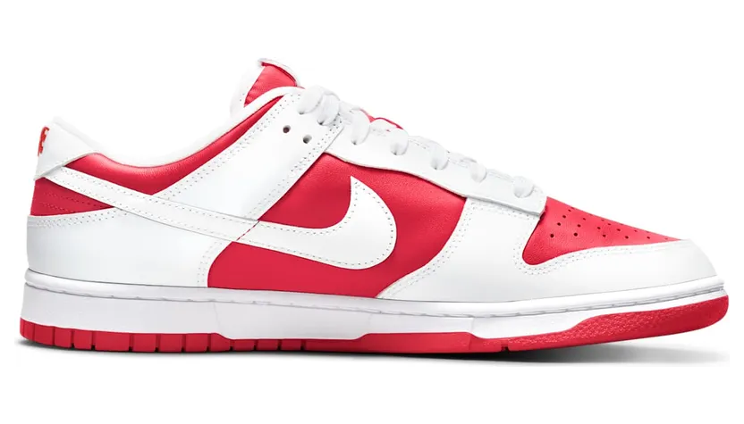 nike-dunk DD1391-600