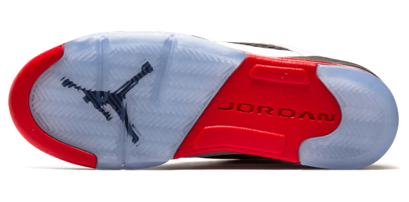 air-jordan-5 314338-101