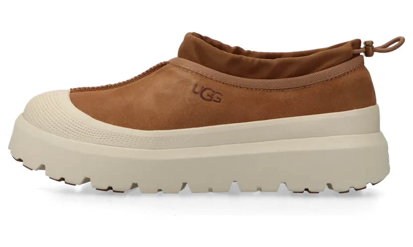 ugg-tasman 1144096-CWTC