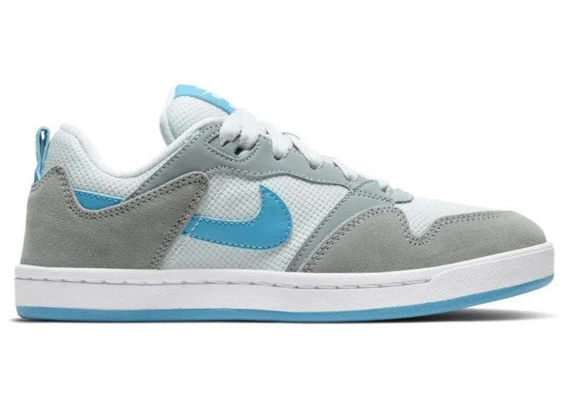 Nike Alleyoop SB Particle Grey Blue (CJ0883-002)
