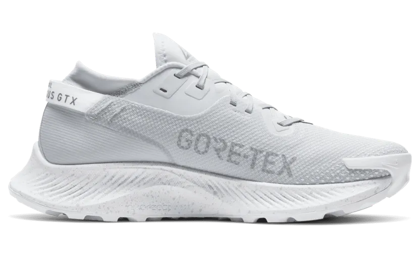 Nike Pegasus Trail 2 GORE-TEX Trailrunningschoen Wit (DC1933-100)