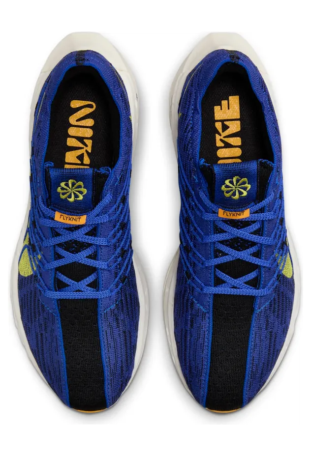 nike-air-pegasus DM3413-401