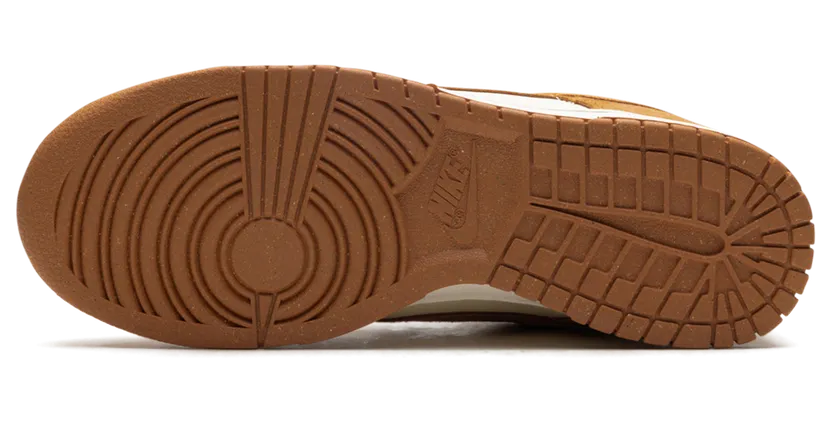 nike-dunk HJ7673-100