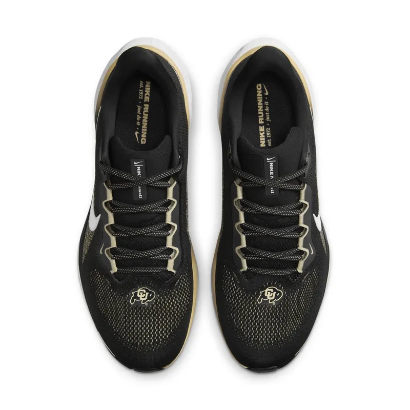 Nike Air Zoom Pegasus 41 Colorado (FZ5109-001)