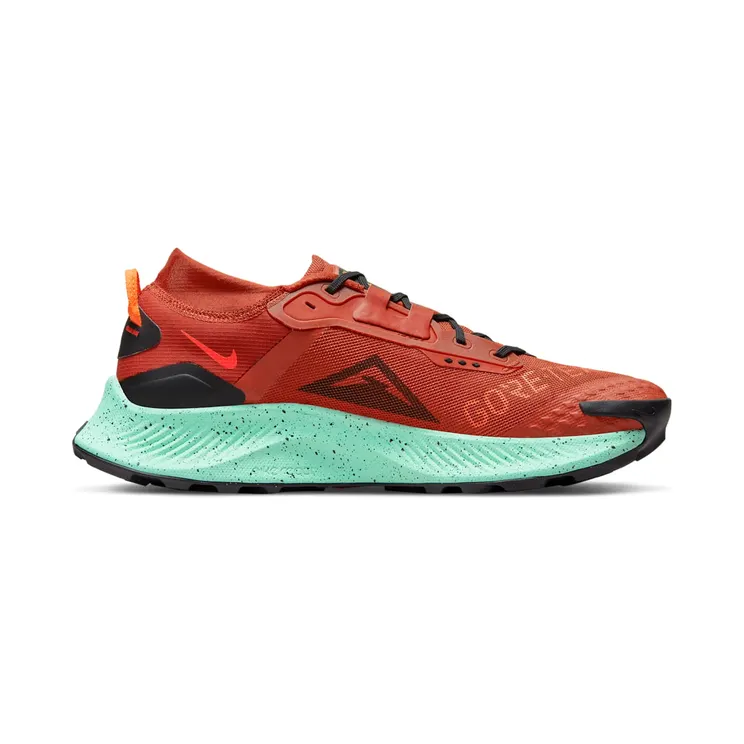 nike-air-pegasus DC8793-800