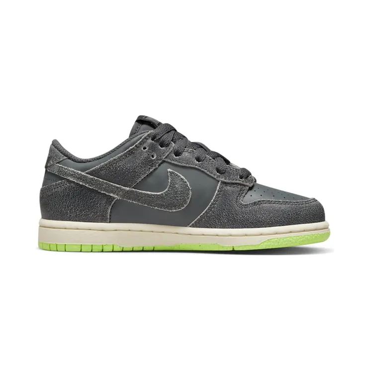 nike-dunk DQ6216-001