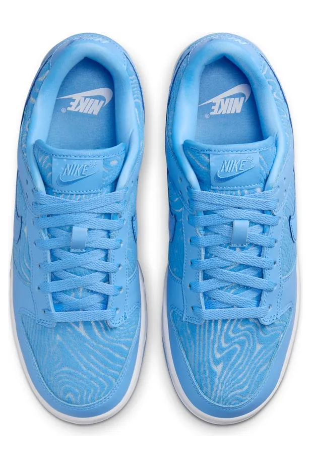 nike-dunk FN6834-412