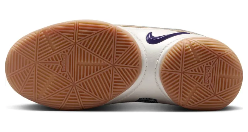 nike-lebron FZ7308-100