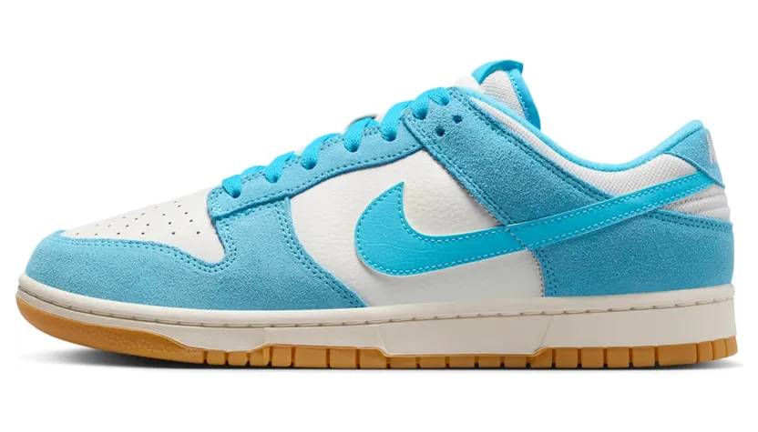 Nike Dunk Low HQ1519-031
