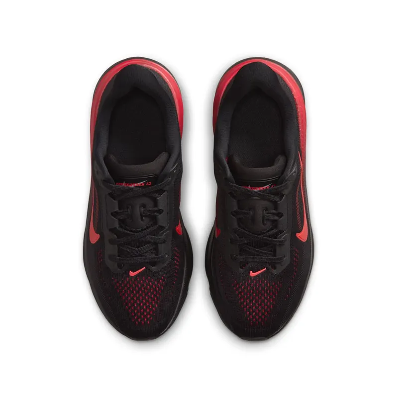 Nike Pegasus Black/University Red/Wolf Grey/Bright Crimson (IH2306-005)