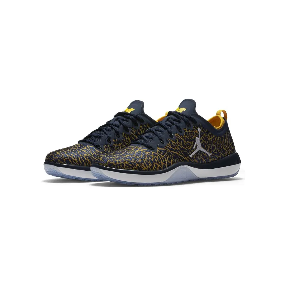 Jordan Trainer 1 Low Michigan College Navy/White-Amarillo (845403-420)