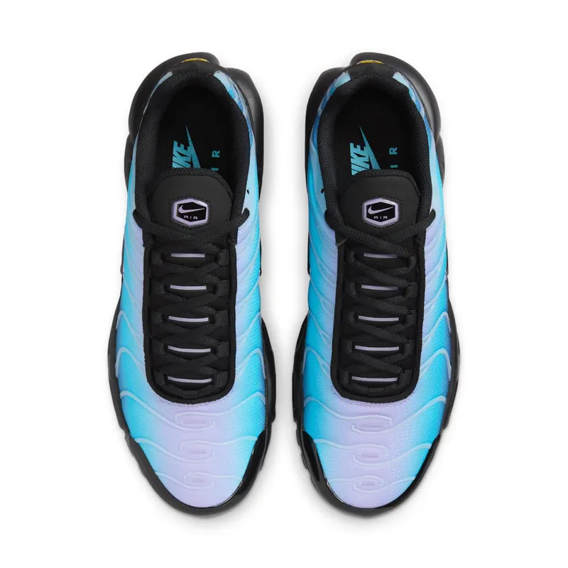 Nike Air Max Plus Black Hydrangeas (HV2510-001)