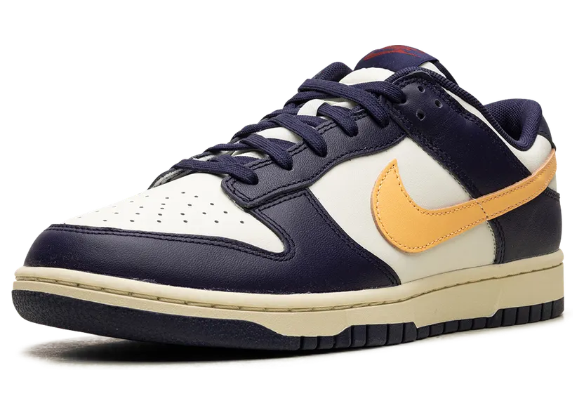 nike-dunk FV8106-181