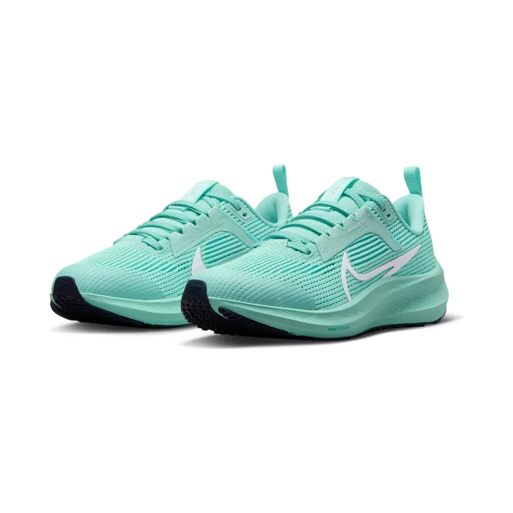 nike-air-pegasus DX2498-300
