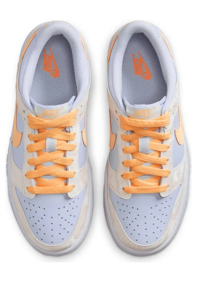 nike-dunk FB9109-100