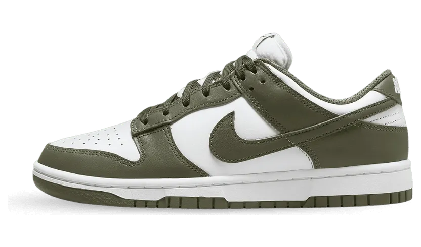 nike-dunk DD1503-120