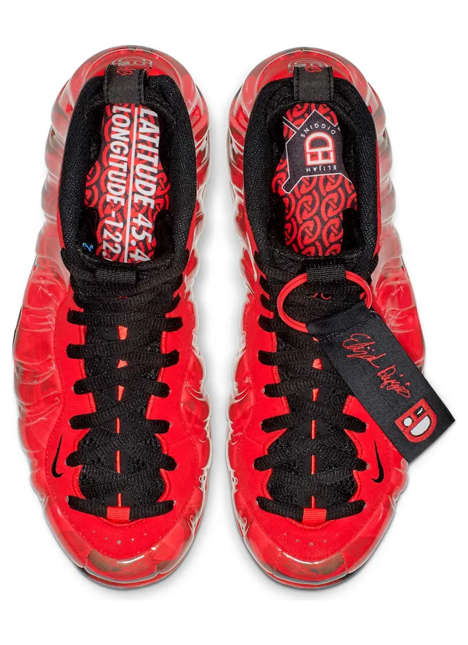 nike-air-foamposite 641745-600