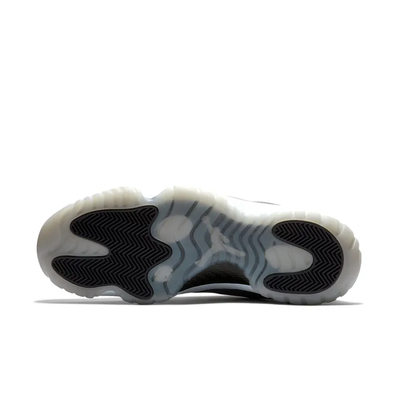 Jordan Future Light Carbon (AT0056-002)