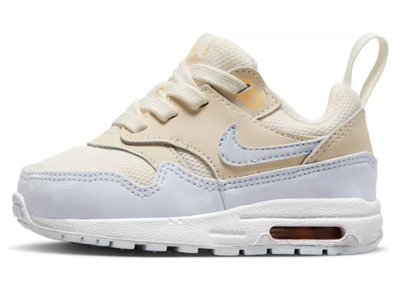 Nike Air Max 1 DZ3309-102