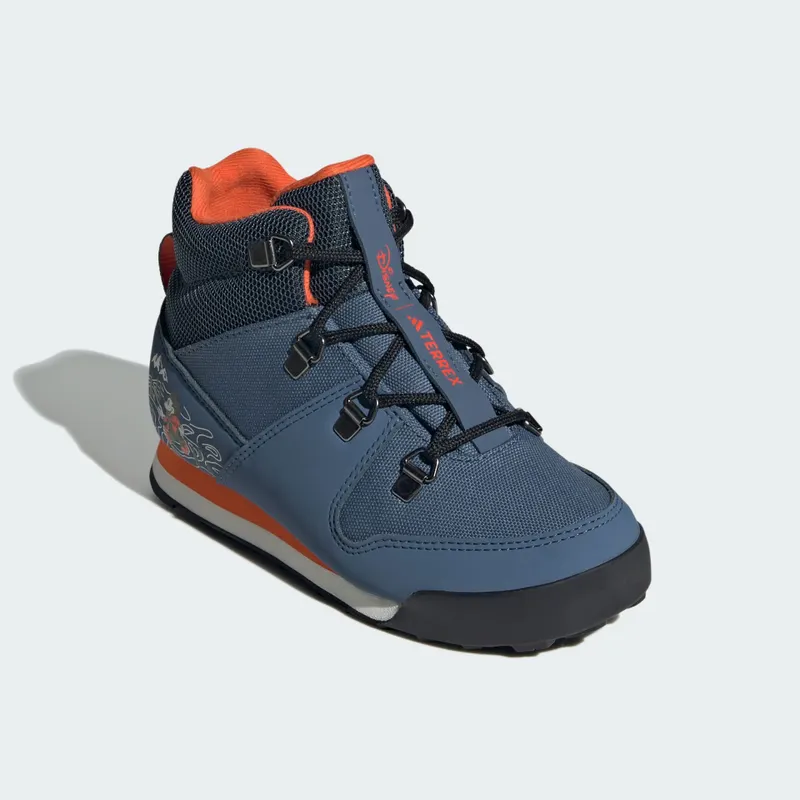 Adidas Terrex Disney Snowpitch COLD.RDY Winter Core Black / Grey Six / Grey Four (ID3558)
