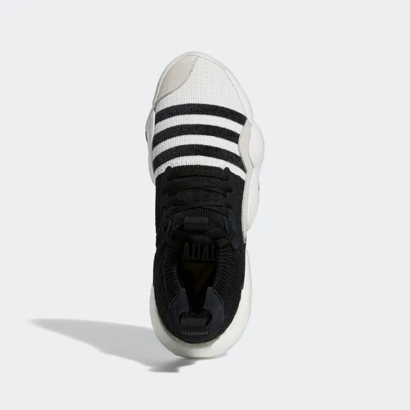 adidas Trae Young 2.0 Cloud White / Core Black / Matte Gold (H06477)