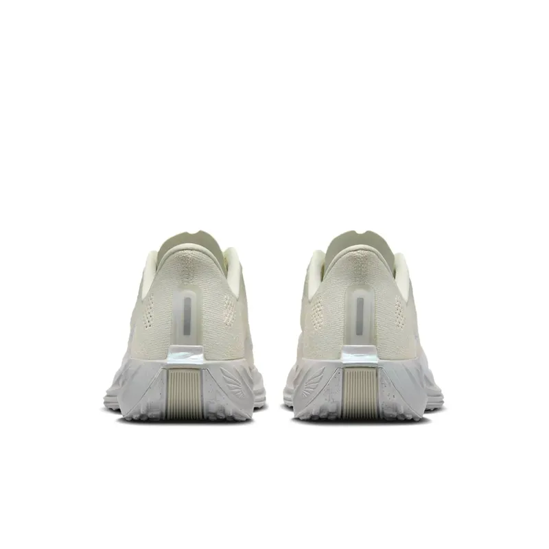 Nike Pegasus Sea Glass/Chalk/Pure Platinum/White (IO9912-001)