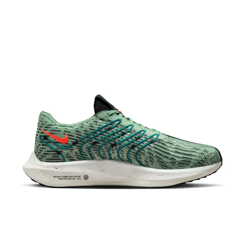 Nike Pegasus Turbo Next Nature 5 Borough Tour (DZ4850-300)