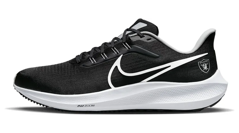 Nike Air Zoom DR2049-001