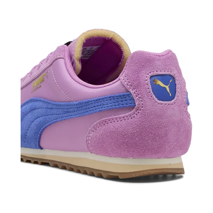 puma-arizona 398682_32
