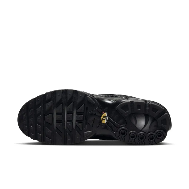 Nike Air Max Plus TN Triple Black (604133-050)