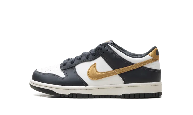 Nike Dunk Low GS “Summit White Metallic Gold” (HV2533-100)