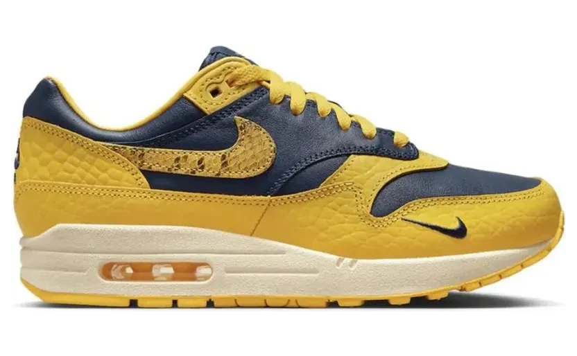 nike-air-max FJ5479